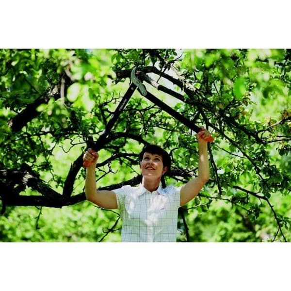 FISKARS Powergear™ II L77 grenskärare med kuggstång och städ 70 cm Ø 50 mm