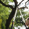 Miniatyrbild 2 av 2: Teleskopisk grenklippare FISKARS Smartfit™ L86 - Ø 50mm