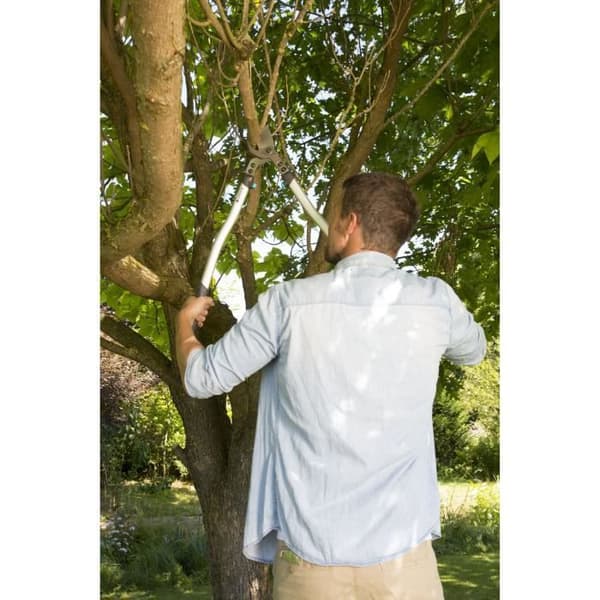 GARDENA Premium 700 B grenskärare - Rak blad i rostfritt stål - Kapning Ø40mm max - 25 års garanti