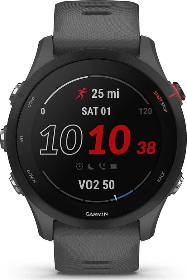 Garmin Forerunner 255 1,3" MIP 46mm grå GPS (010-02641-10)