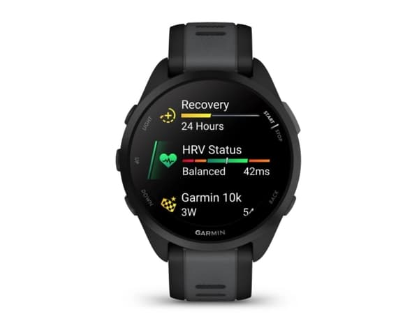 Garmin Forerunner 165 - Svart - sportklocka med band - silikon - skiffergrå - handledsstorlek: 126-203 mm - display 1.2" - 4 GB - Bluetooth, ANT+ - 3