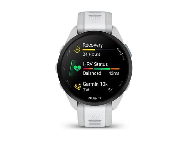 Garmin Forerunner 165 - Disgrå - sportsur med bånd - silikon - hvitstein - håndleddstørrelse: 126-203 mm - display 1.2" - 4 GB - Bluetooth, ANT+ - 39