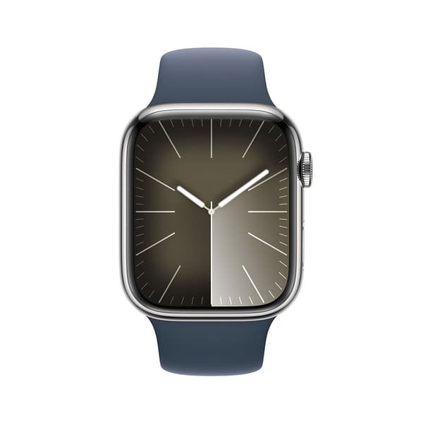 Apple Series 9 Gps+cellular 45 Mm Watch Blå S-M