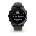 Miniatyrbillede 10 af 10: Garmin Fenix E stainless Steel slate grey