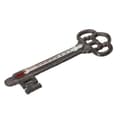 Miniatyrbillede 1 af 4: Stuetemperatur Ferrestock jern