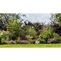Miniatyrbild 4 av 5: Bosch Home and Garden GardenPump 18V Akku-Gartenpumpe 540 l/h 1.8 m