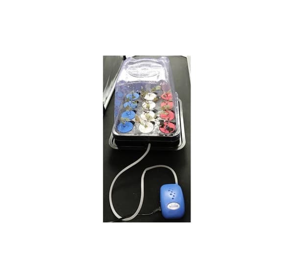 Aeroponisk system DWC Clone 12 Platinium