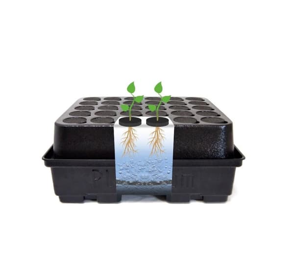 Aeroponisk system DWC Clone 12 Platinium
