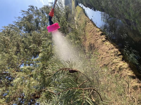 Teleskoplanse i rustfrit stål 4,2 m
