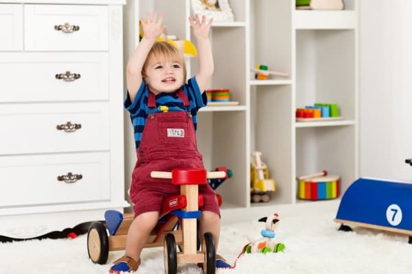 Pintoy Trä Springcykel (18M+)