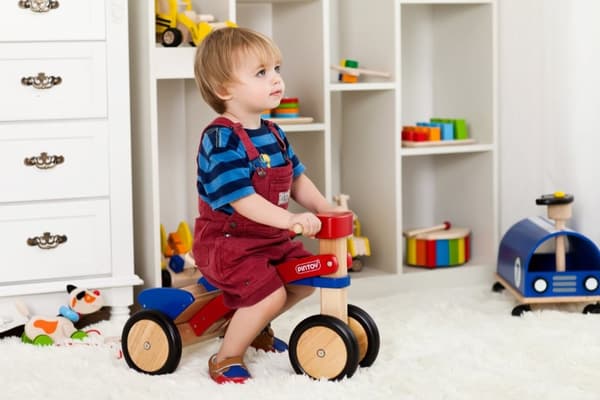 Pintoy Trä Springcykel (18M+)
