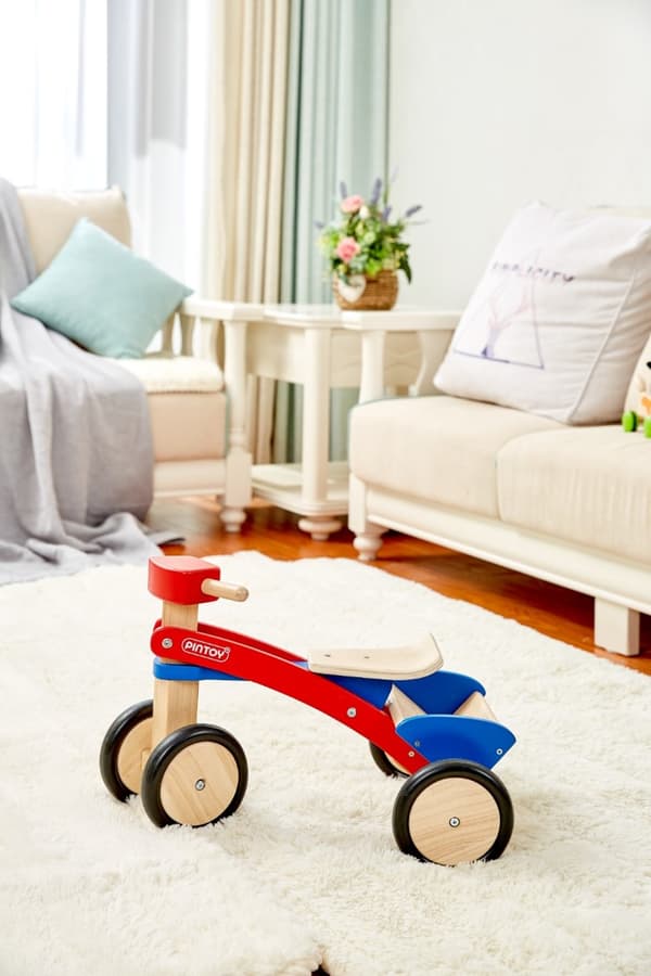 Pintoy Trä Springcykel (18M+)