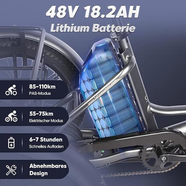 Fafrees Elcykel F20 Mate 20 Inch Folding E-Bike med 48 V 18,2 Ah 110KM svart