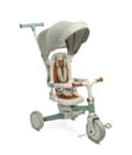 Miniatyrbillede 1 af 11: 3-HJULET CYKEL FARO - GRØN