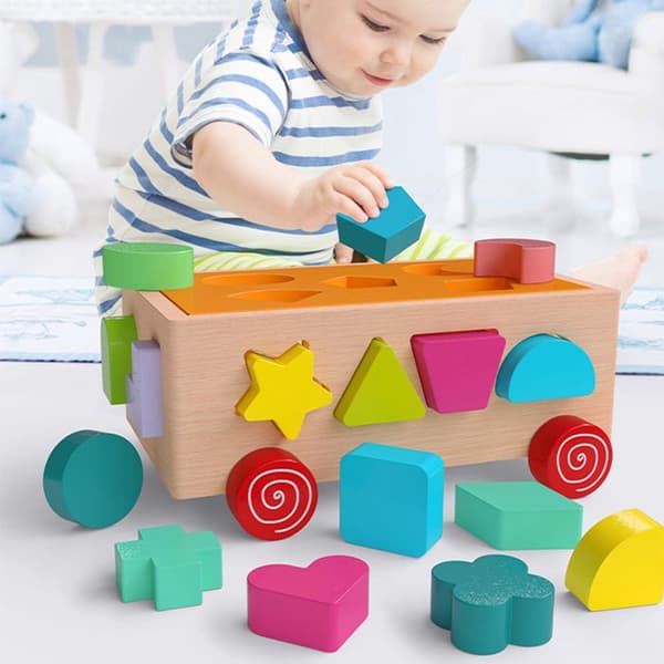 TD® Assorted Blocks - 17 hål - Hand-öga-koordination - Lätt att förvara