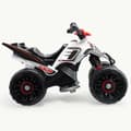 Miniatyrbillede 2 af 8: Elektrisk quad Injusa 66022 Hvid Multifarvet