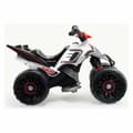 Miniatyrbillede 6 af 8: Elektrisk quad Injusa 66022 Hvid Multifarvet