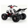 Miniatyrbillede 7 af 8: Elektrisk quad Injusa 66022 Hvid Multifarvet