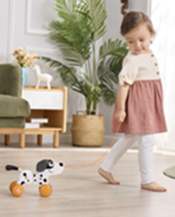Hape Pull Along Dalmatiner