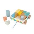 Miniatyrbild 4 av 4: JANOD Pure Walking Cubes Trolley - Från 12 månader