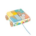 Miniatyrbild 2 av 4: JANOD Pure Walking Cubes Trolley - Från 12 månader