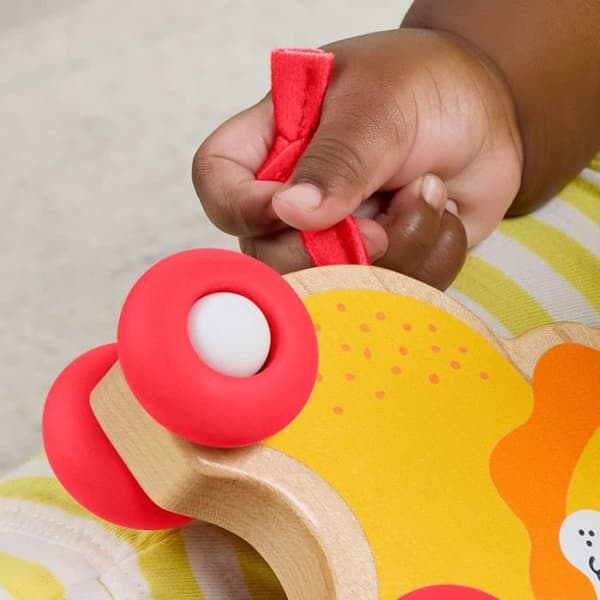 FISHER-PRICE Træ Skubbedyr - JFN19