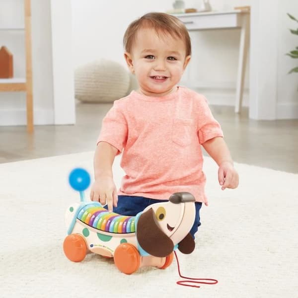 VTECH BABY - Lek Grönt - Min Interaktiva ABC-hund (FSC Träleksak)