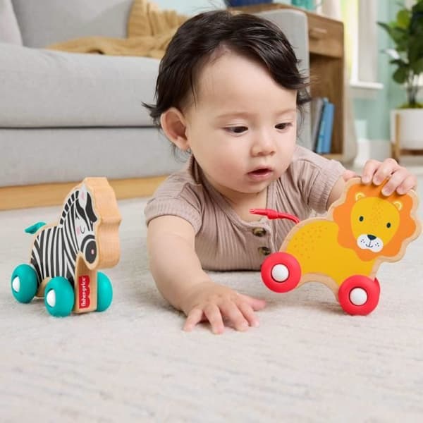 FISHER-PRICE Trädjur att skjuta med - JFN19