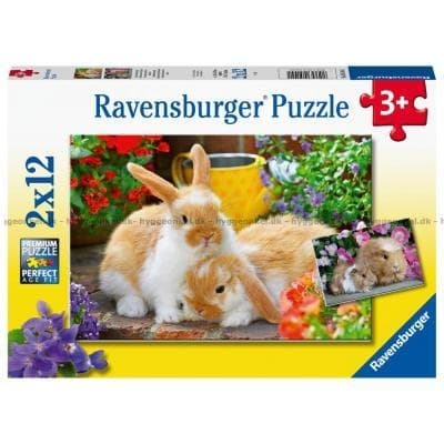 Guinea Pigs & Bunnies - 2x12 Bitar