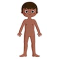 Miniatyrbild 3 av 6: Janod Educational Puzzle-human Body-50 75 100 Pieces Flerfärgad 100