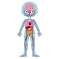 Miniatyrbild 4 av 6: Janod Educational Puzzle-human Body-50 75 100 Pieces Flerfärgad 100