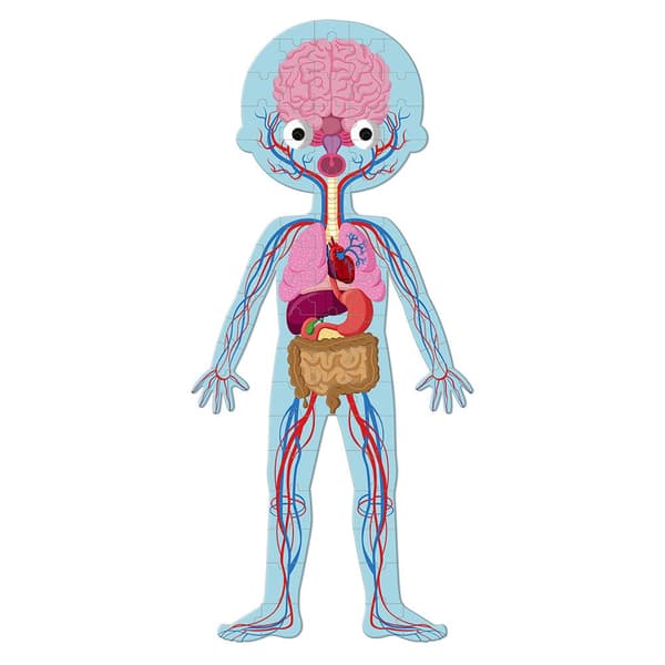 Janod Educational Puzzle-human Body-50 75 100 Pieces Flerfärgad 100