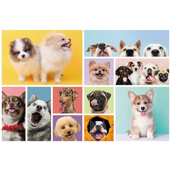 TREFL puzzle Dogs 160 pcs