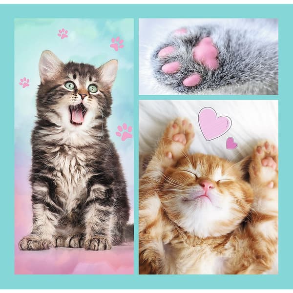 TREFL Puzzle 3 in 1 set Kittens