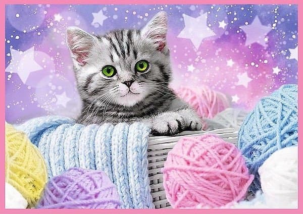 TREFL Puzzle 4 in 1 set Kittens