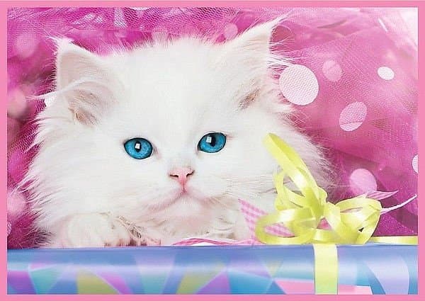 TREFL Puzzle 4 in 1 set Kittens