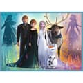 Miniatyrbild 5 av 6: TREFL FROZEN Puzzle 4 in 1 set