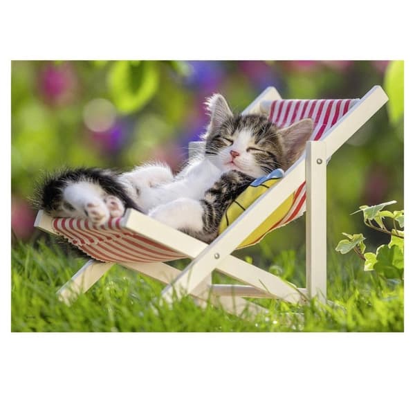 Ravensburger puslespil 2x24 stk Katte