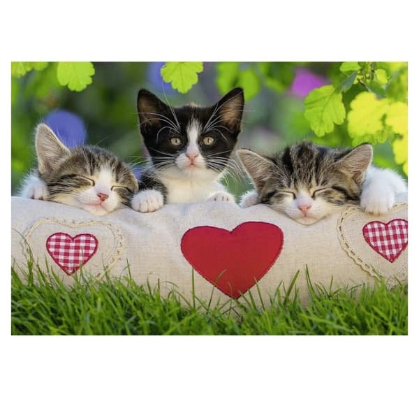Ravensburger puslespil 2x24 stk Katte