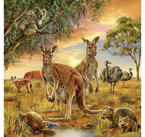 Ravensburger palapeli 3x49 kpl Maailman eläimiä