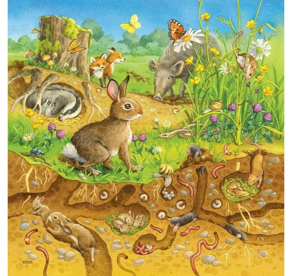 Ravensburger puslespil 3x49 stk Dyr
