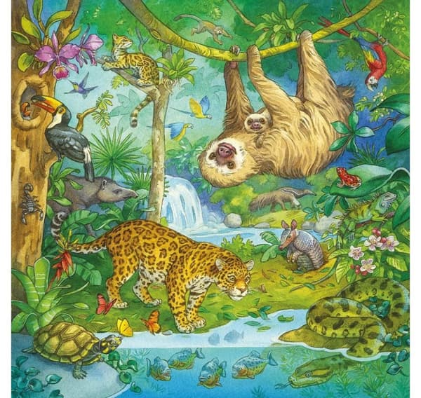 Ravensburger puslespil 3x49 brikker Jungle sjov