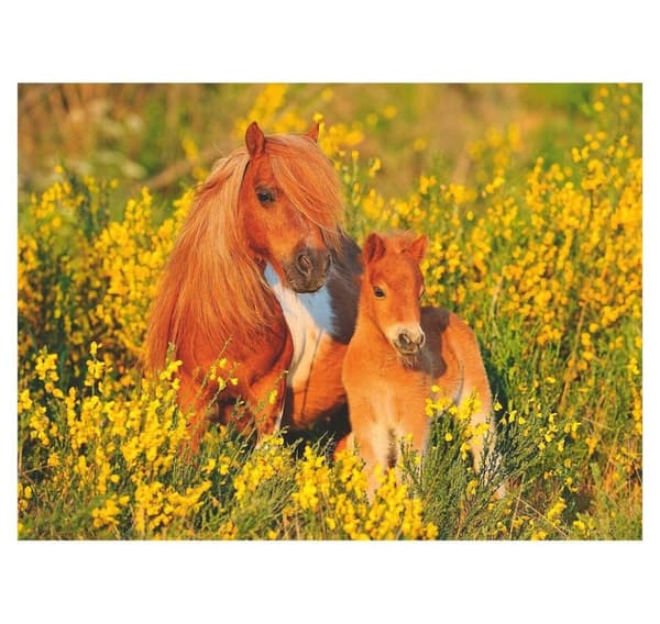 Ravensburger puslespill 100 stk Ponnier