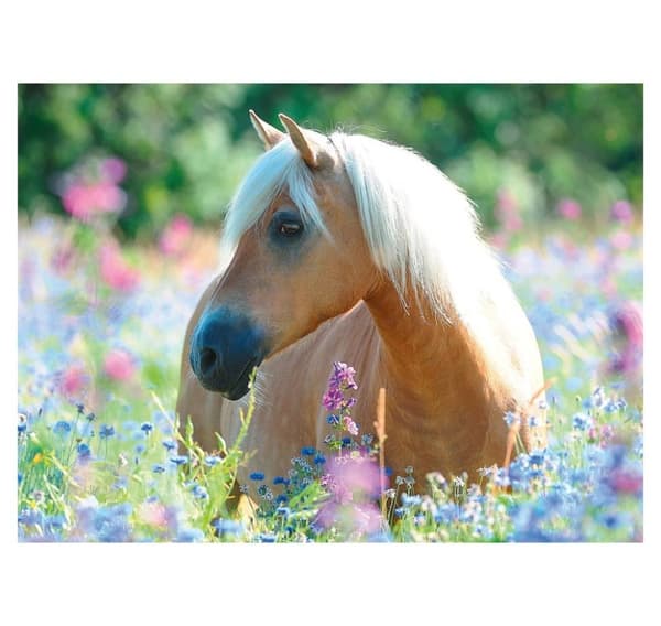 Ravensburger puslespil 300 brikker Hest i blomster