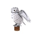 Miniatyrbild 2 av 3: Cubic Fun National Geographic 3D-pussel Snowy Owl 32 bitar