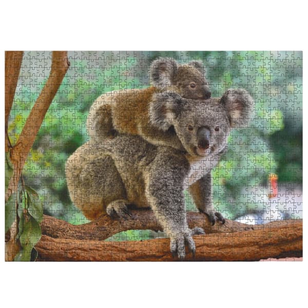 LÆG SMÅ KOALA OG MOR 1000 STKKER TIL SAMLING AF ET SØDT BILLEDE