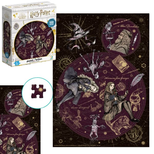 Harry Potter puslespil sæt 500 farvede brikker magi