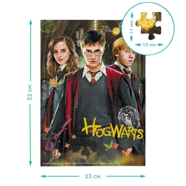 Harry Potter ja ystävät -palapeli 250 palaa Tylypahkan palapelisarja 200498