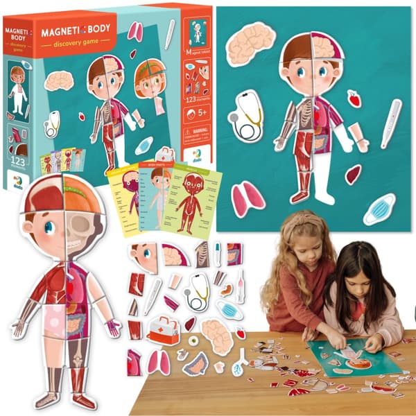 Magnetisk uddannelsessæt Human Body Magnetic Game Body Parts 200220