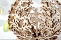 Miniatyrbillede 4 af 10: 3D Træpuslespil Spilledåse - Blomst uGEARS
